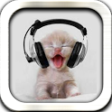 Music Cat icon