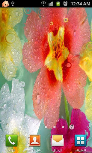 Roses Live Wallpaper screenshot 2