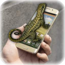 Lizard in phone