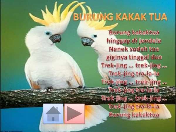 Lagu Anak Indonesia Lengkap screenshot 5