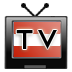 TV Program icon