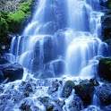 4D Falls 1.1