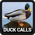 Duck Hunting Calls icon