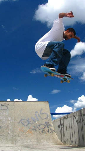 Skater Wallpapers screenshot 3