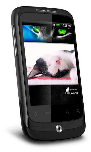 Funny Cat Best Live Wallpaper screenshot 2