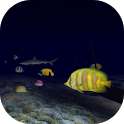 Ocean Aquarium 3D Trial on 9Apps