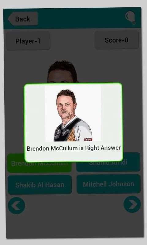 Cricket World Fever 2015 screenshot 2