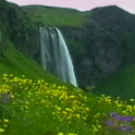 ikon Flowers Waterfall