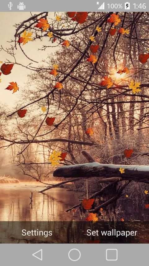 Nature Wallpaper Live स्क्रीनशॉट 10