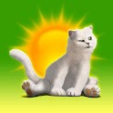 MeoWeather icon