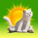 MeoWeather 1.1