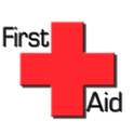 Health Guide: FirstAid Lite on 9Apps