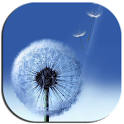 ikon Galaxy S3 HD LWP
