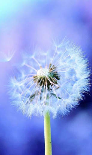 Galaxy S3 HD LWP screenshot 2