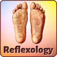 Body Reflexology with Hindi on 9Apps