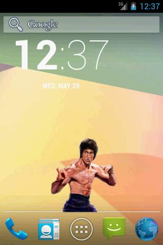 Bruce Lee widget screenshot 1