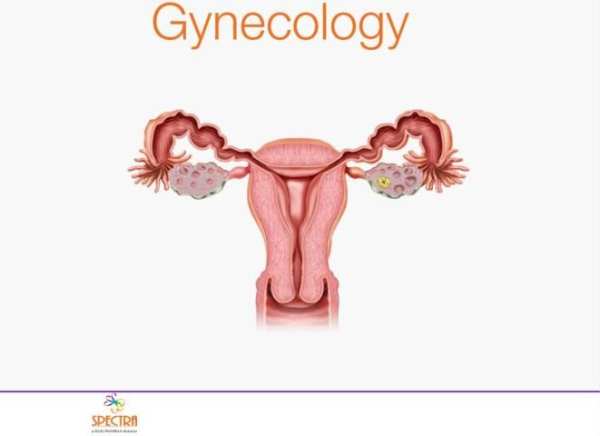 Mini Atlas Gynaecology स्क्रीनशॉट 5
