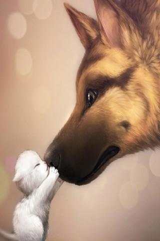 Funny Animal Pictures screenshot 1