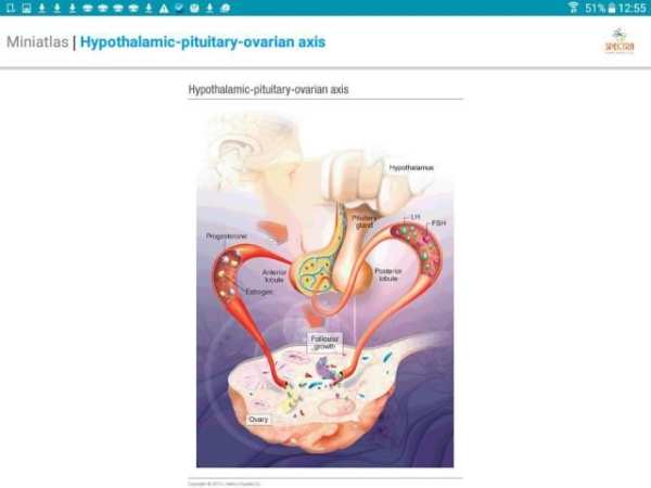 Mini Atlas Gynaecology स्क्रीनशॉट 3