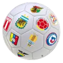 Eliminatorias Brasil 2014 icon