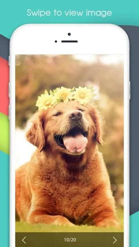Photo Download screenshot 2