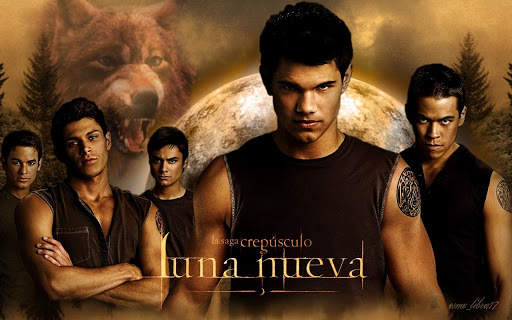 Twilight Wallpapers HD screenshot 1