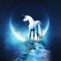 White Horse Live Wallpaper 2.1
