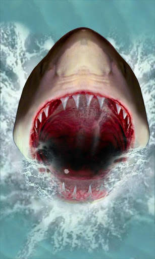 Shark Attack Live Wallpaper screenshot 1