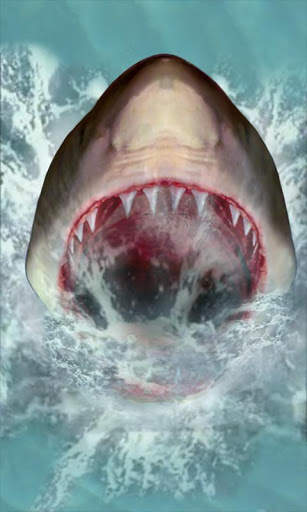 Shark Attack Live Wallpaper screenshot 2