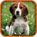 Sounds for kids Lite 1.0