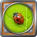 Magnifying Glass on 9Apps