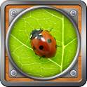Magnifying Glass 1.0