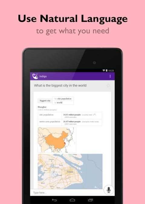 Indigo Virtual Assistant स्क्रीनशॉट 2