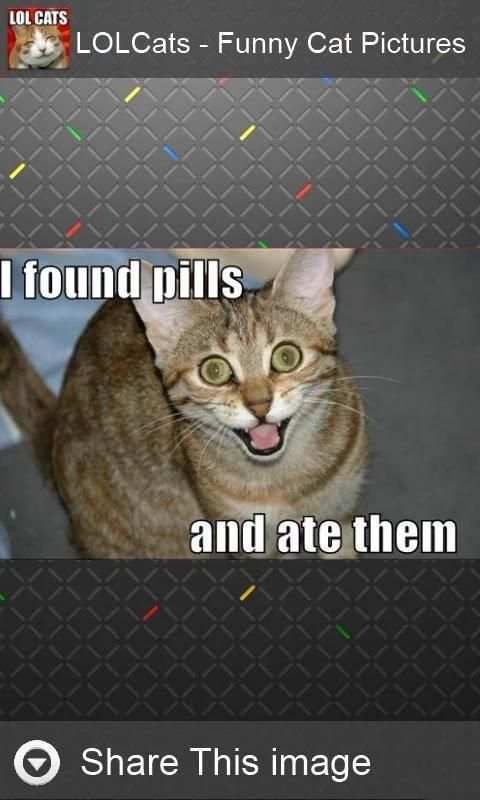LOLCats - Funny cats pictures screenshot 3