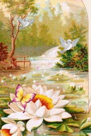 Bird and Butterfly Live wallpa screenshot 1