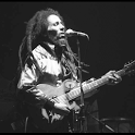 Bob marley lyrics icon