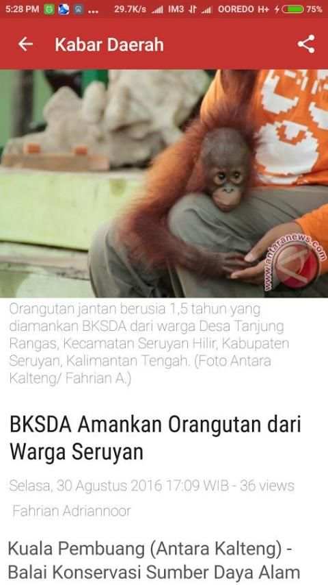 ANTARA News Kalteng 10 تصوير الشاشة
