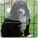 C1 C2 Maths EdExcel 2012 PastP icon