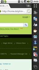 Dolphin Read Later screenshot 1