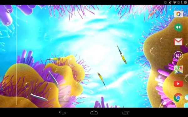 Shark Live Wallpaper screenshot 3