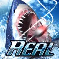 RealFishing3D Free