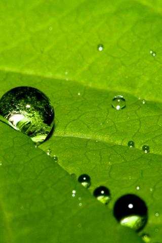 Wallpaper Nature2 screenshot 2