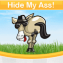 Hide My Ass! Guide icon