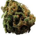 Fortune Ganja Lite icon