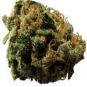 Fortune Ganja Lite 1.0