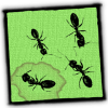 Ants in my pants icon