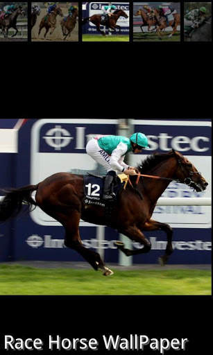 Racing horse Wallpaper screenshot 4