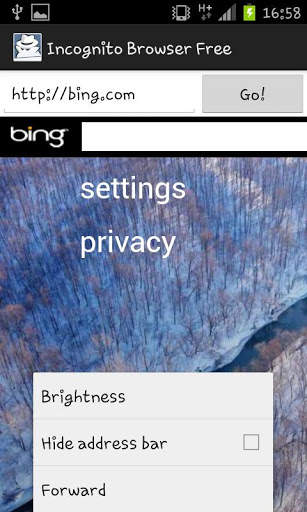 Incognito Browser Free screenshot 3