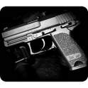 Wonderful Guns 3.1
