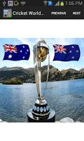 Cricket World Cup 2015 screenshot 2